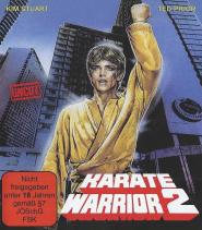 Karate Warrior 2 (1988)