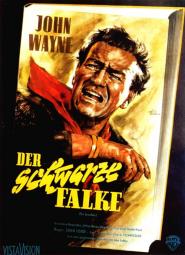 Der Schwarze Falke