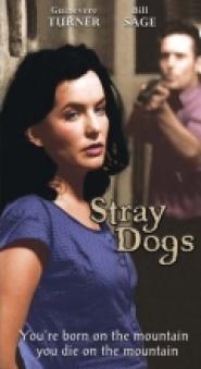 Stray Dogs