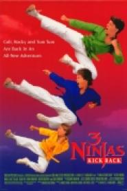 3 Ninjas Kick Back