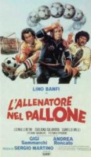 Allenatore nel pallone, L'