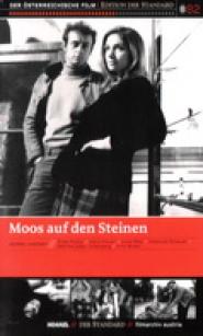 Moos auf den Steinen