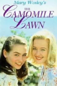 The Camomile Lawn