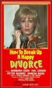 How to Break Up a Happy Divorce