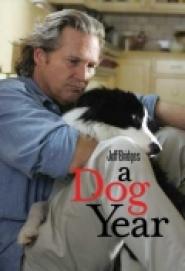 A Dog Year