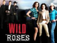 Wild Roses