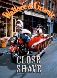 Wallace & Gromit unter Schafen