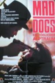 Mad Dogs - Im Schatten der Gewalt