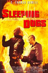 Sleeping Dogs