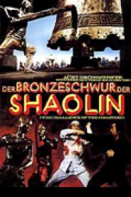 Der Bronzeschwur der Shaolin