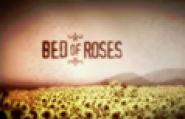 Bed of Roses