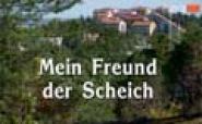 Mein Freund, der Scheich