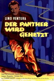 Der Panther wird gehetzt