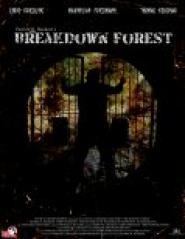 Breakdown Forest