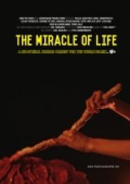 The Miracle of Life