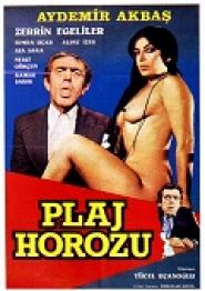 Plaj Horozu