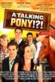 Das Geheimnis des Ponys