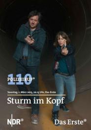 Polizeiruf 110: Sturm im Kopf