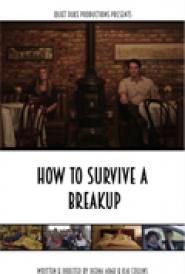 How to Survive a Breakup