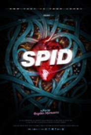 Spid