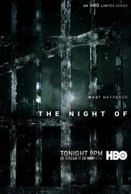 The Night Of - Die Wahrheit einer Nacht