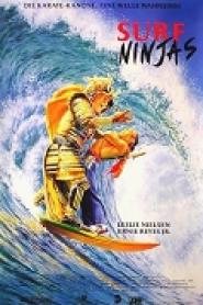 Surf Ninjas