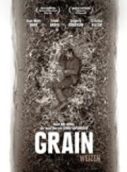 Grain - Weizen