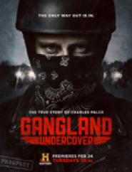 Gangland Undercover