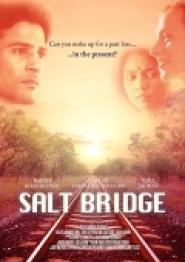 Salt Bridge