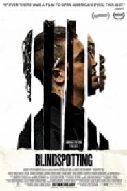 Blindspotting