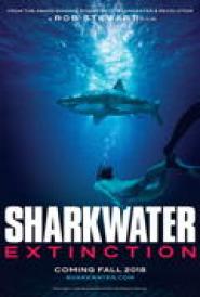 Sharkwater - Die Ausrottung