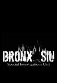 Bronx SIU