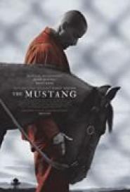 The Mustang