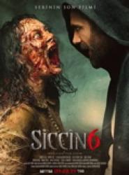 Siccin 6