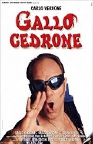 Gallo cedrone