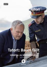 Tatort: Baum fällt