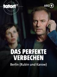 Tatort: Das perfekte Verbrechen