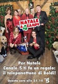 Natale a 4 zampe