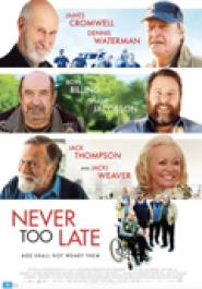 Never Too Late - Es ist nie zu spät für die Liebe