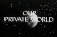 Our Private World