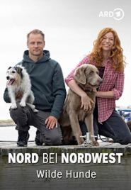 Nord bei Nordwest: Wilde Hunde