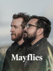 Mayflies