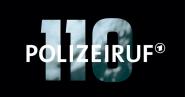 Polizeiruf 110: Paranoia