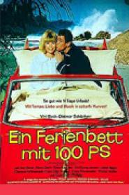 Ein Ferienbett mit 100 PS