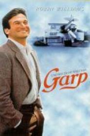 Garp und wie er die Welt sah