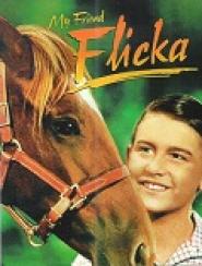 Flicka