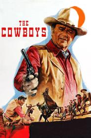 Die Cowboys (1972)