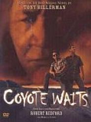 Coyote Waits