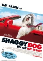 Shaggy Dog - Hör mal wer da bellt