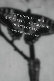 The History of a Butterfly: A Romance of Insect Life